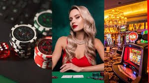 855bet sport