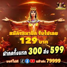 855bet sport